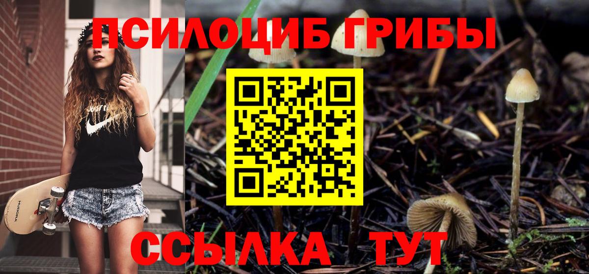 Псилоцибиновые грибы MAGIC MUSHROOMS  Вход с VPN  Мценск 