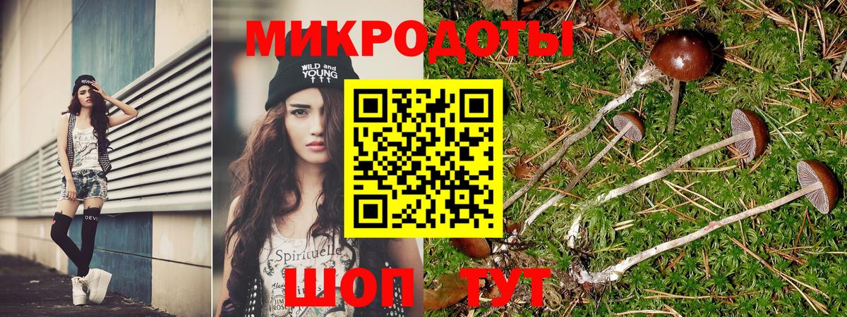Псилоцибиновые грибы Cubensis Мценск